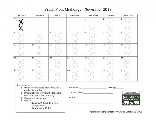 November Brush Floss 2018